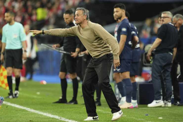 Luis Enrique con il Psg
