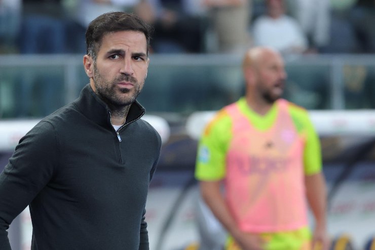 Cesc Fabregas