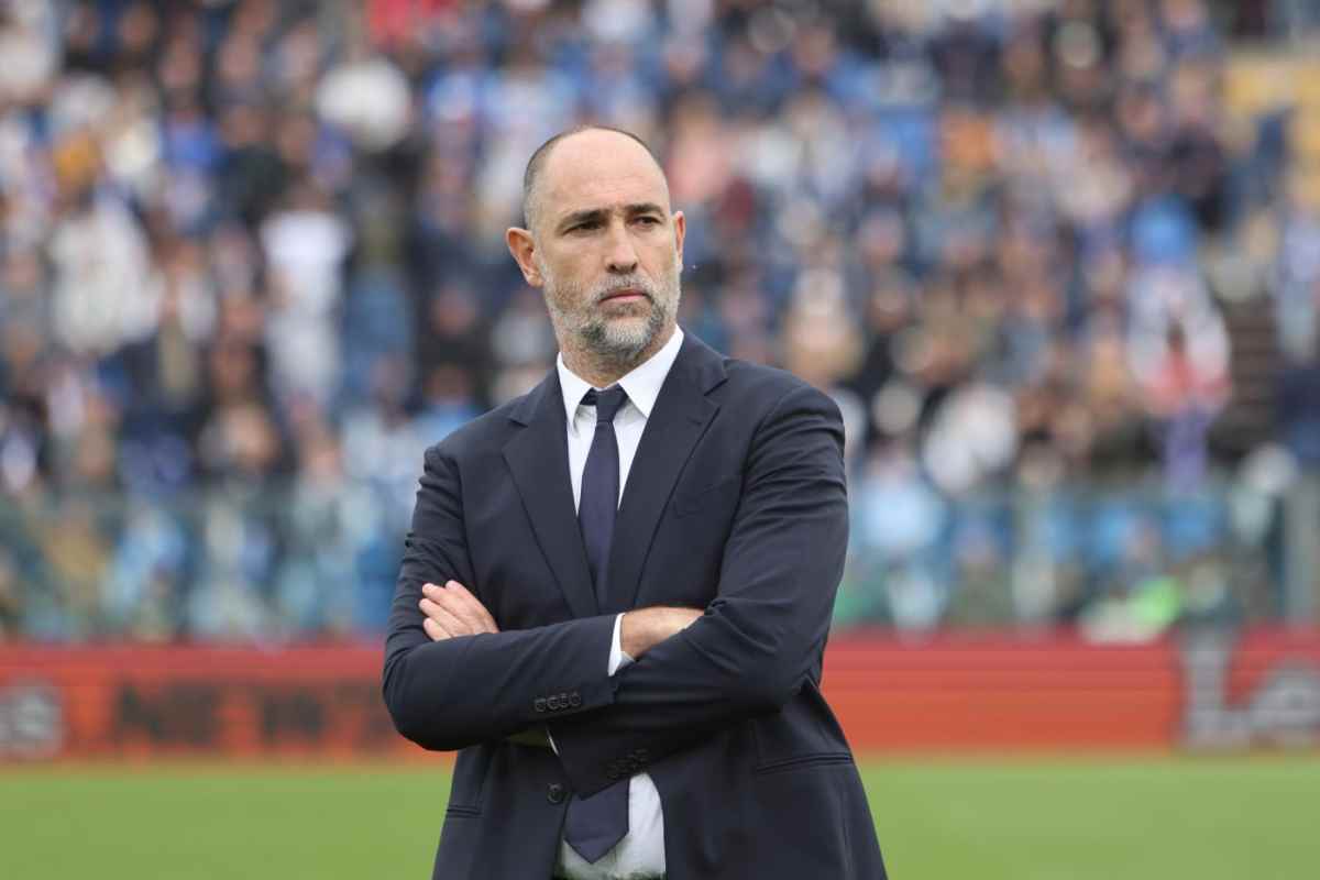 Tudor in campo