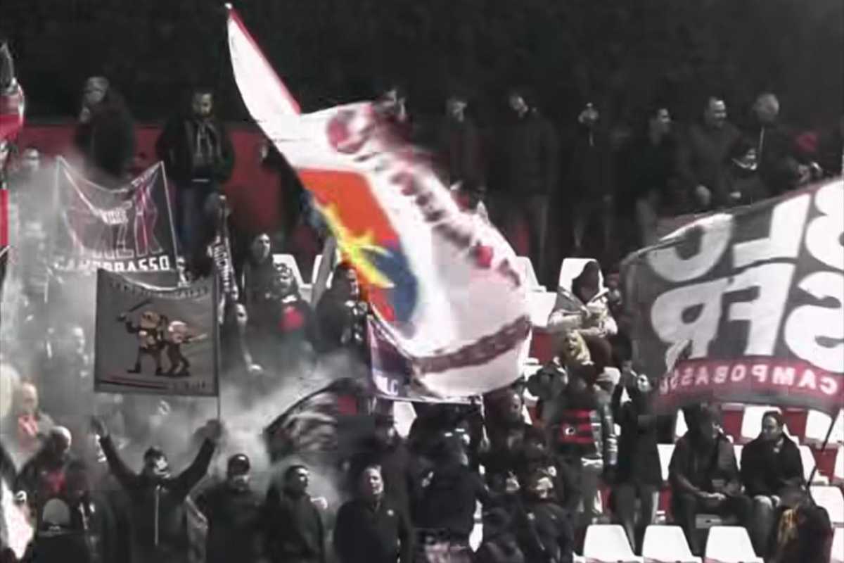 Tifosi Campobasso