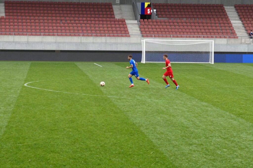 Polonia-Bosnia: dove vedere la partita in TV