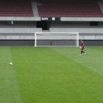 Salernitana-Bari: dove vederla in tv e streaming